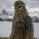 Chewbacca, played by Joonas Suotamo.